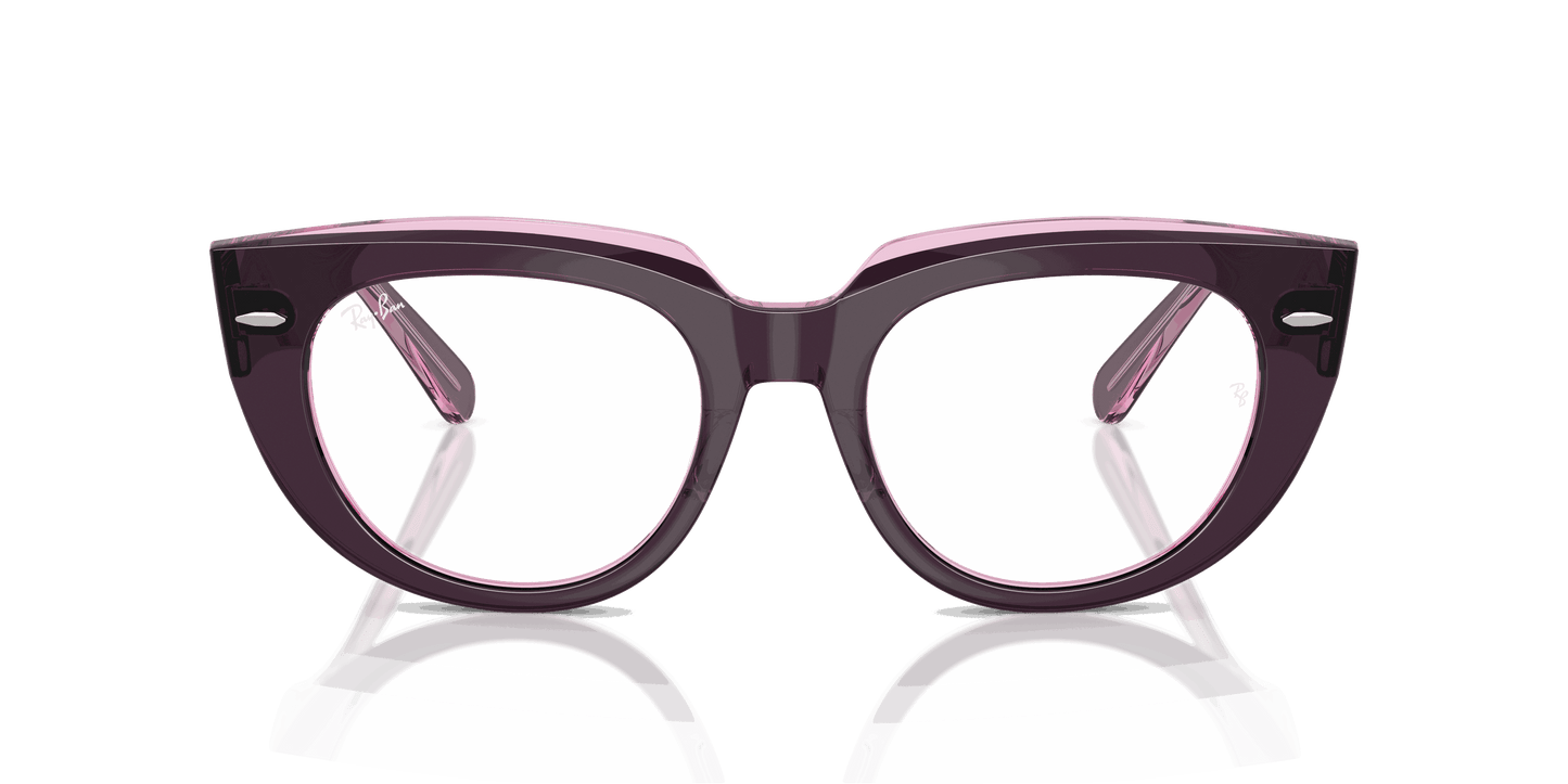 [Clear Lenses, Polished Violet On Transparent Pink Frame]
