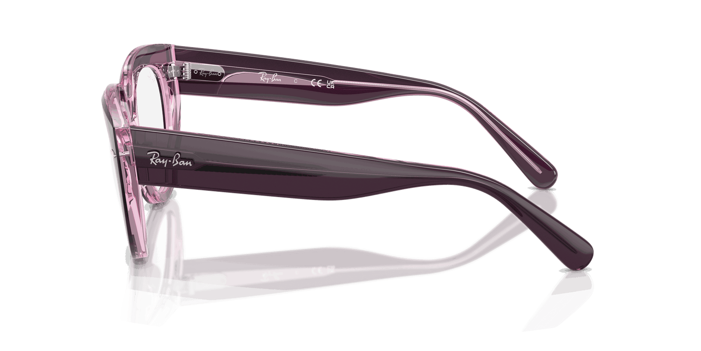 [Clear Lenses, Polished Violet On Transparent Pink Frame]