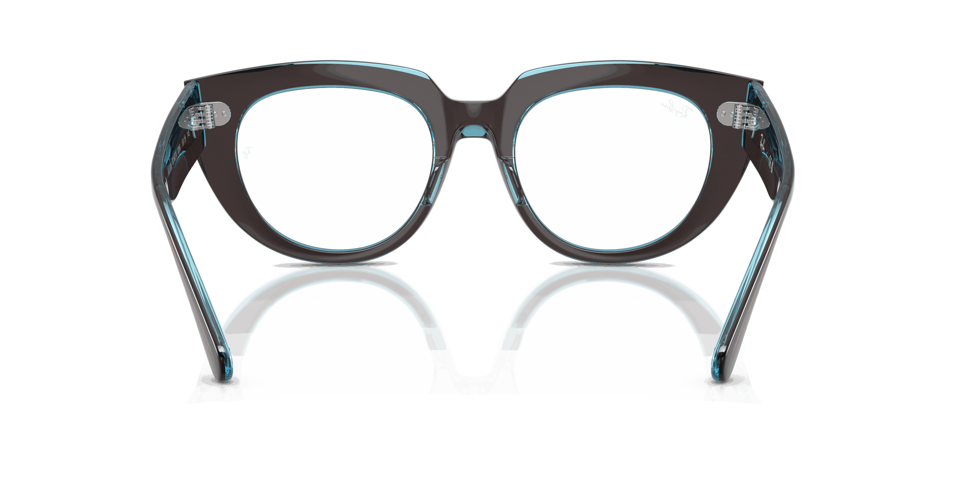 [Clear Lenses, Polished Brown On Transparent Blue Frame]