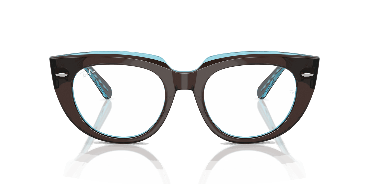[Clear Lenses, Polished Brown On Transparent Blue Frame]