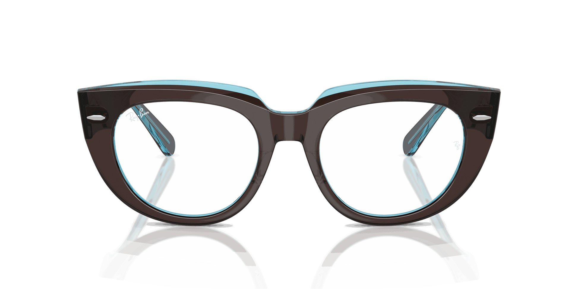 [Clear Lenses, Polished Brown On Transparent Blue Frame]