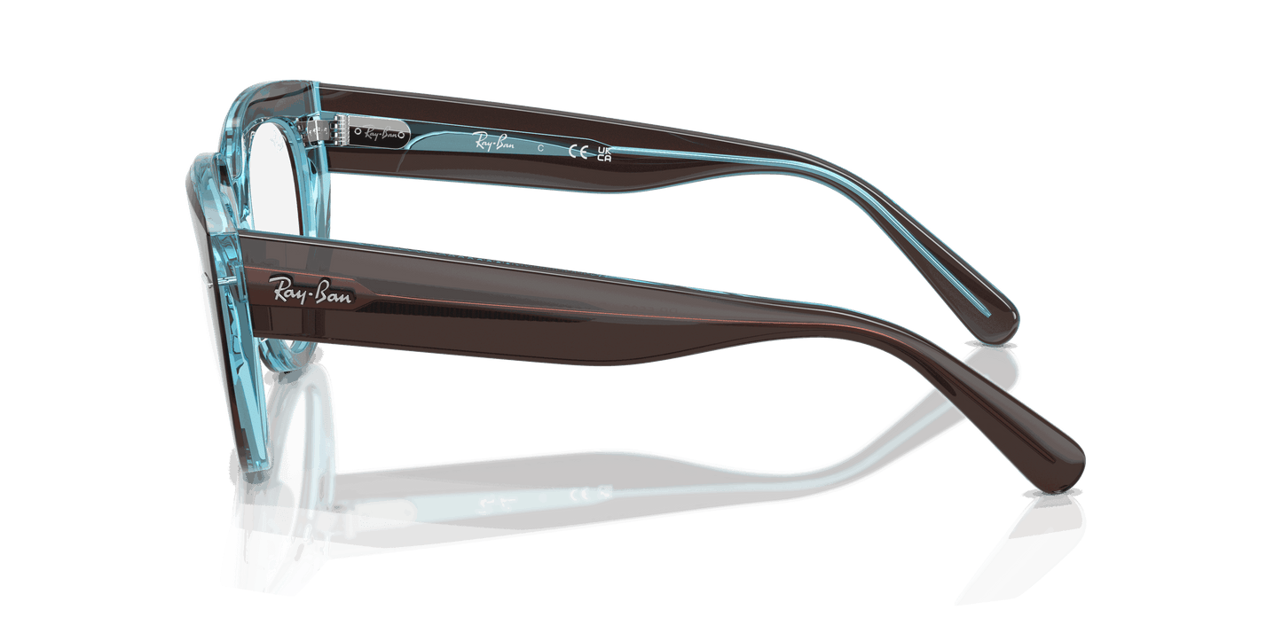 [Clear Lenses, Polished Brown On Transparent Blue Frame]