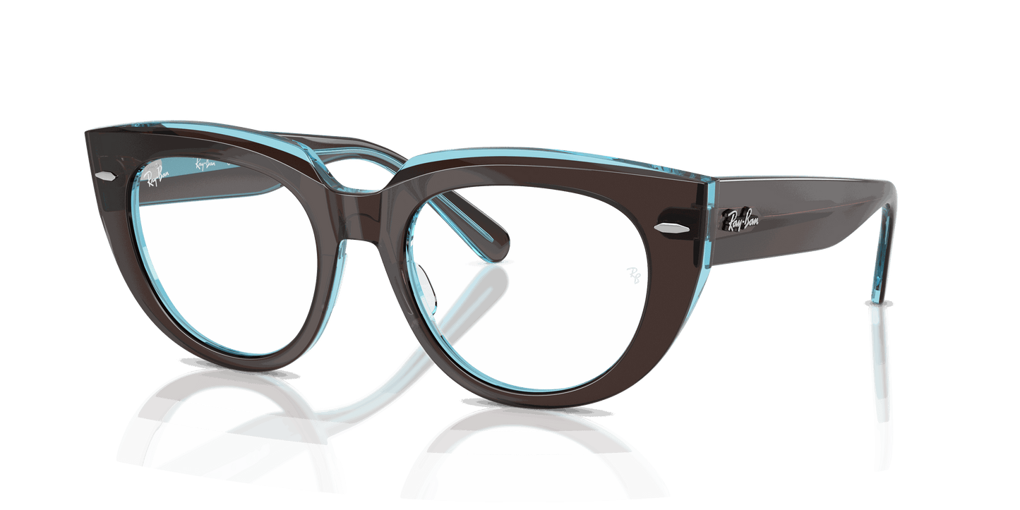 [Clear Lenses, Polished Brown On Transparent Blue Frame]