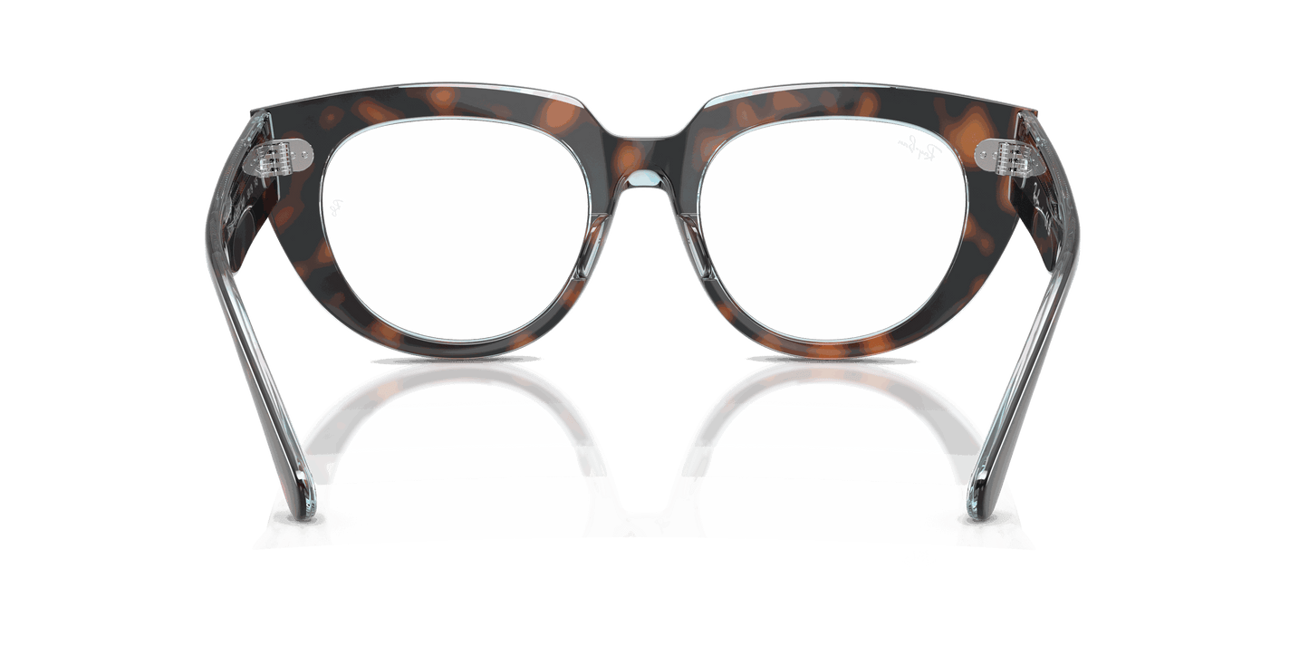 [Clear Lenses, Polished Dark Havana On Multicolor Frame]