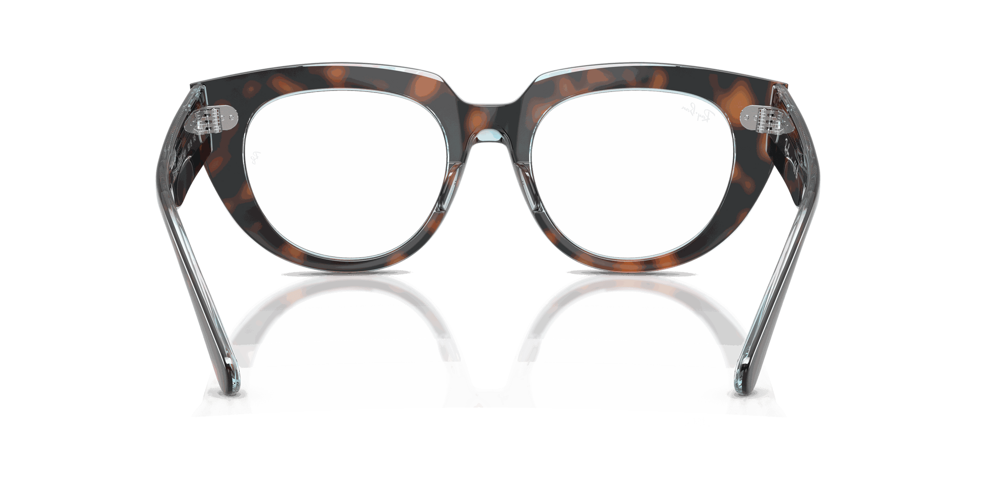 [Clear Lenses, Polished Dark Havana On Multicolor Frame]