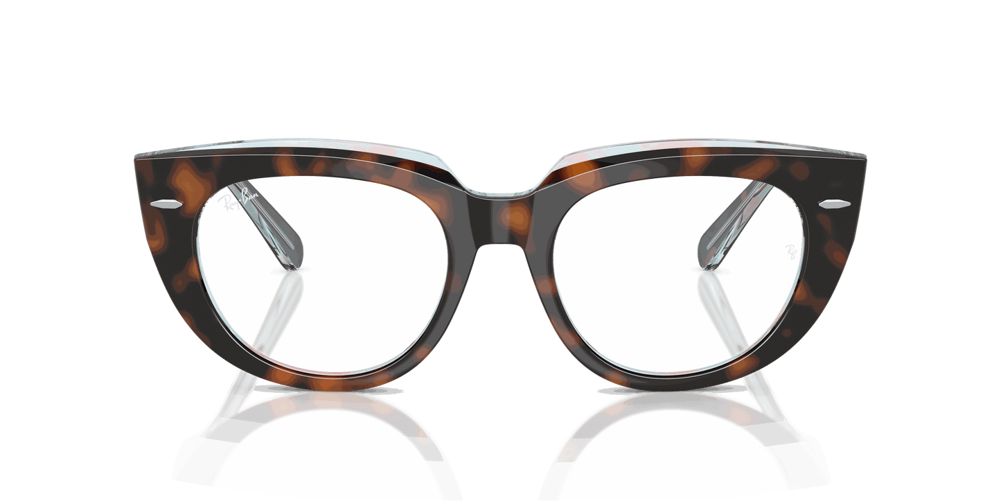 [Clear Lenses, Polished Dark Havana On Multicolor Frame]