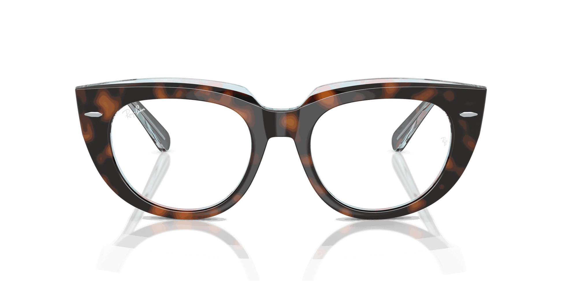 [Clear Lenses, Polished Dark Havana On Multicolor Frame]