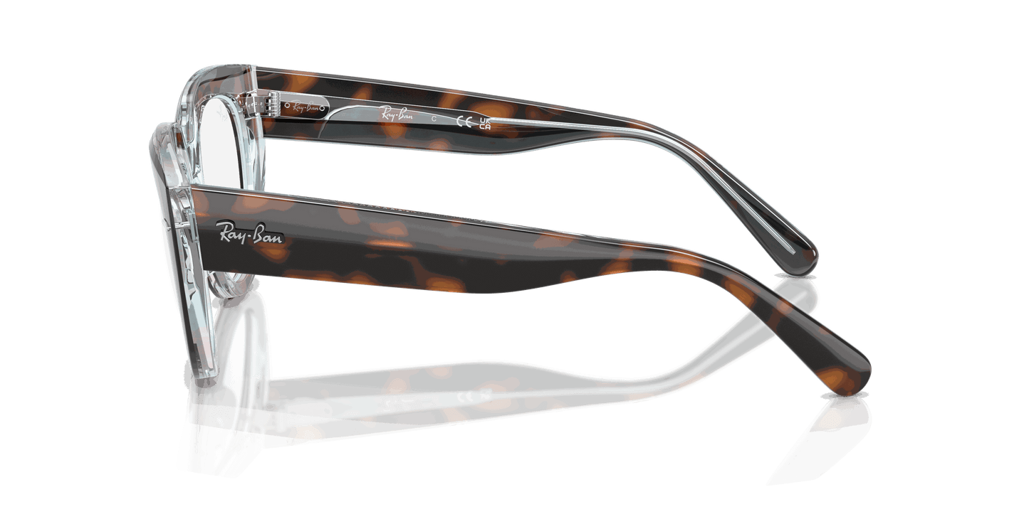 [Clear Lenses, Polished Dark Havana On Multicolor Frame]