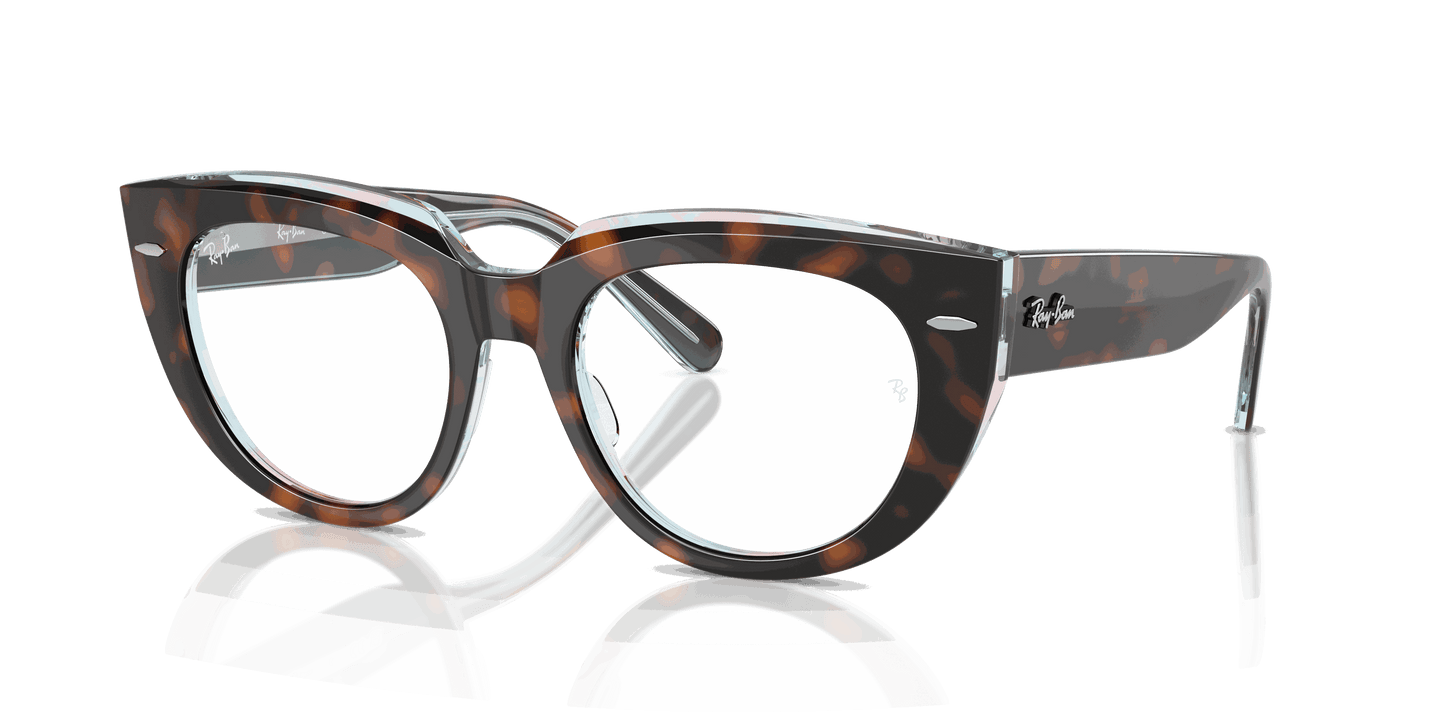 [Clear Lenses, Polished Dark Havana On Multicolor Frame]