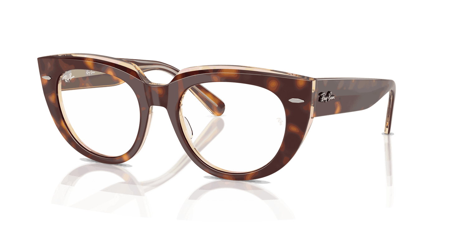 [Clear Lenses, Polished Light Havana On Multicolor Frame]