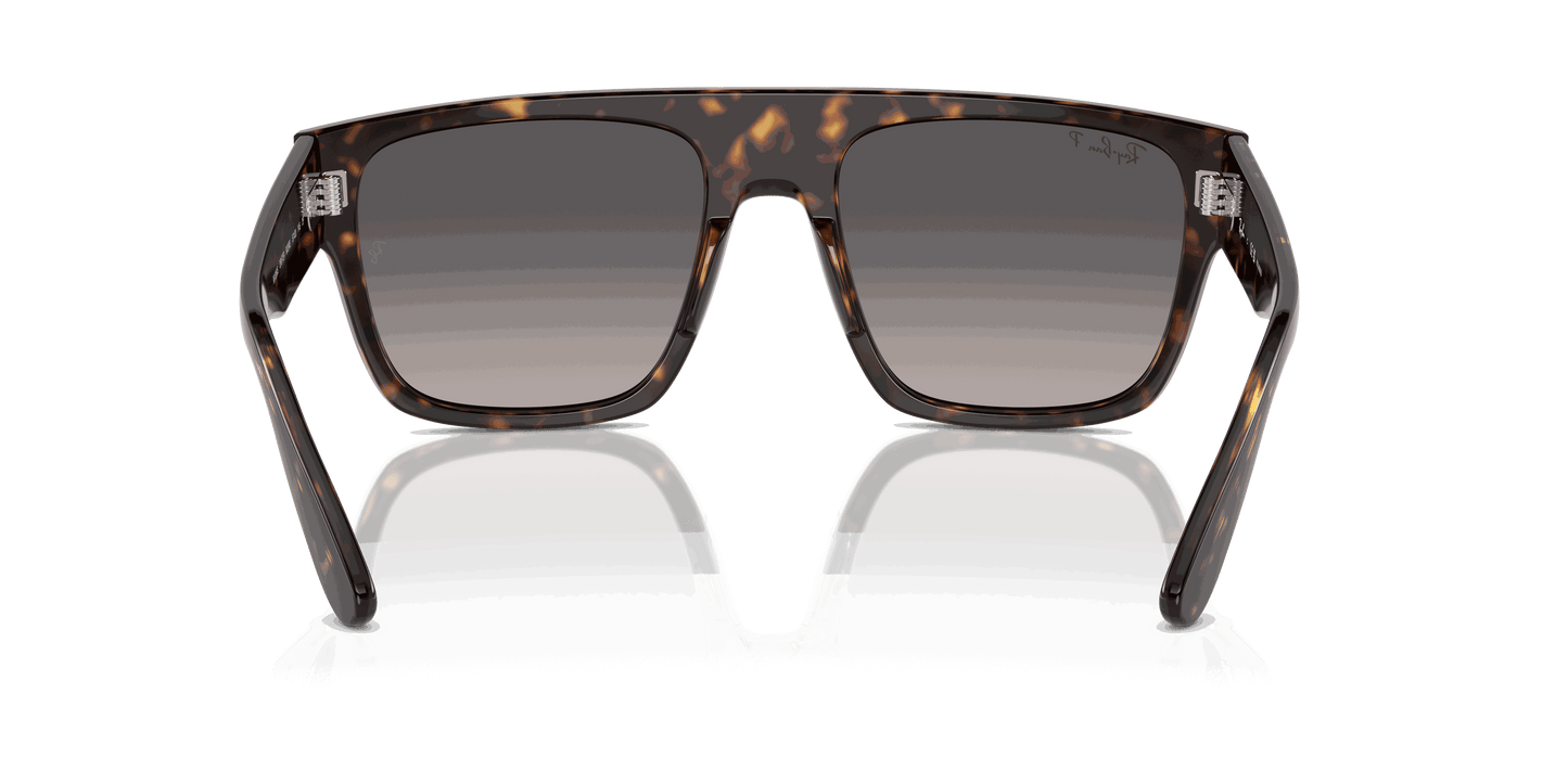 [Grey Lenses, Polished Havana Frame]