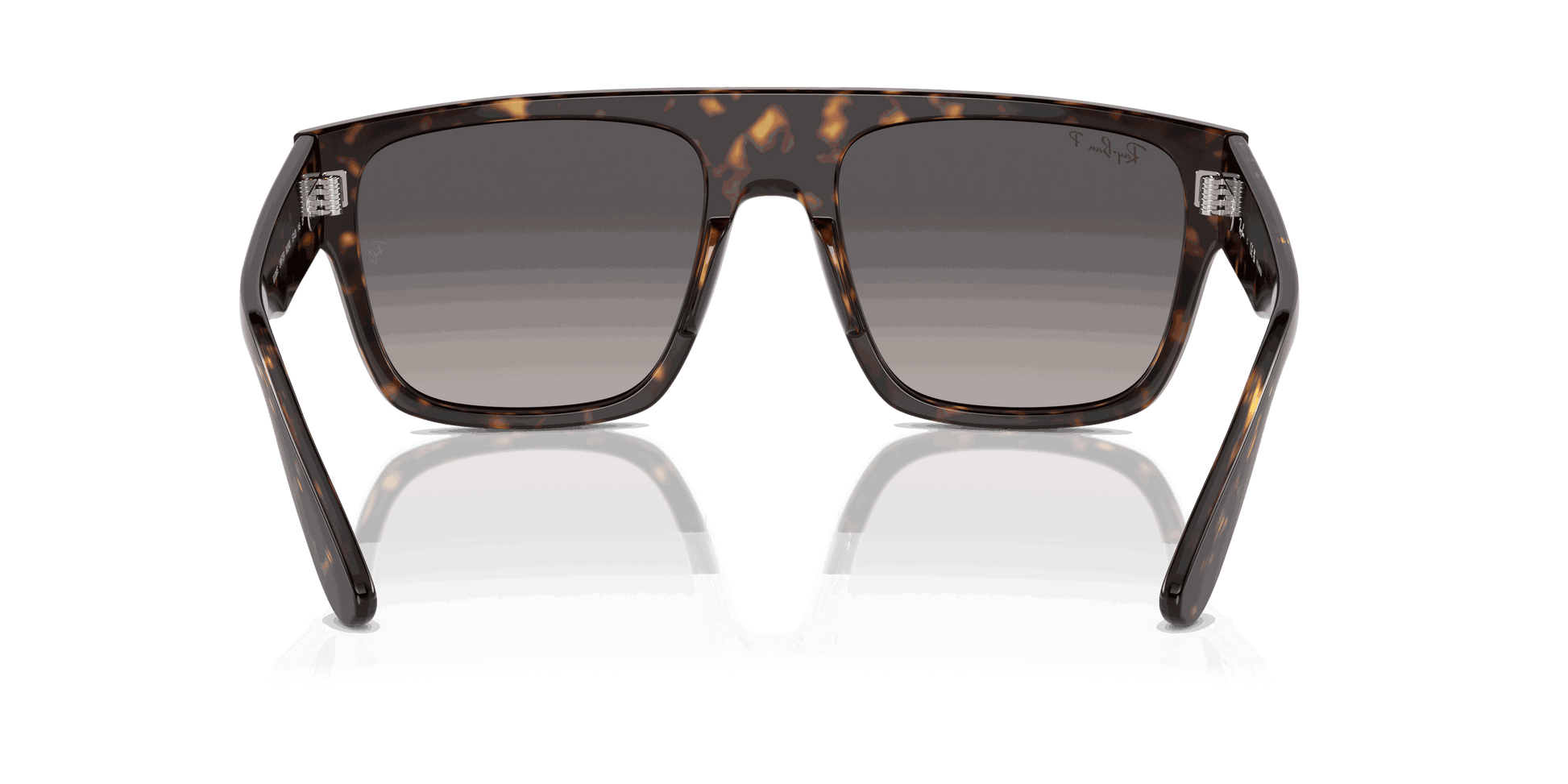 [Grey Lenses, Polished Havana Frame]