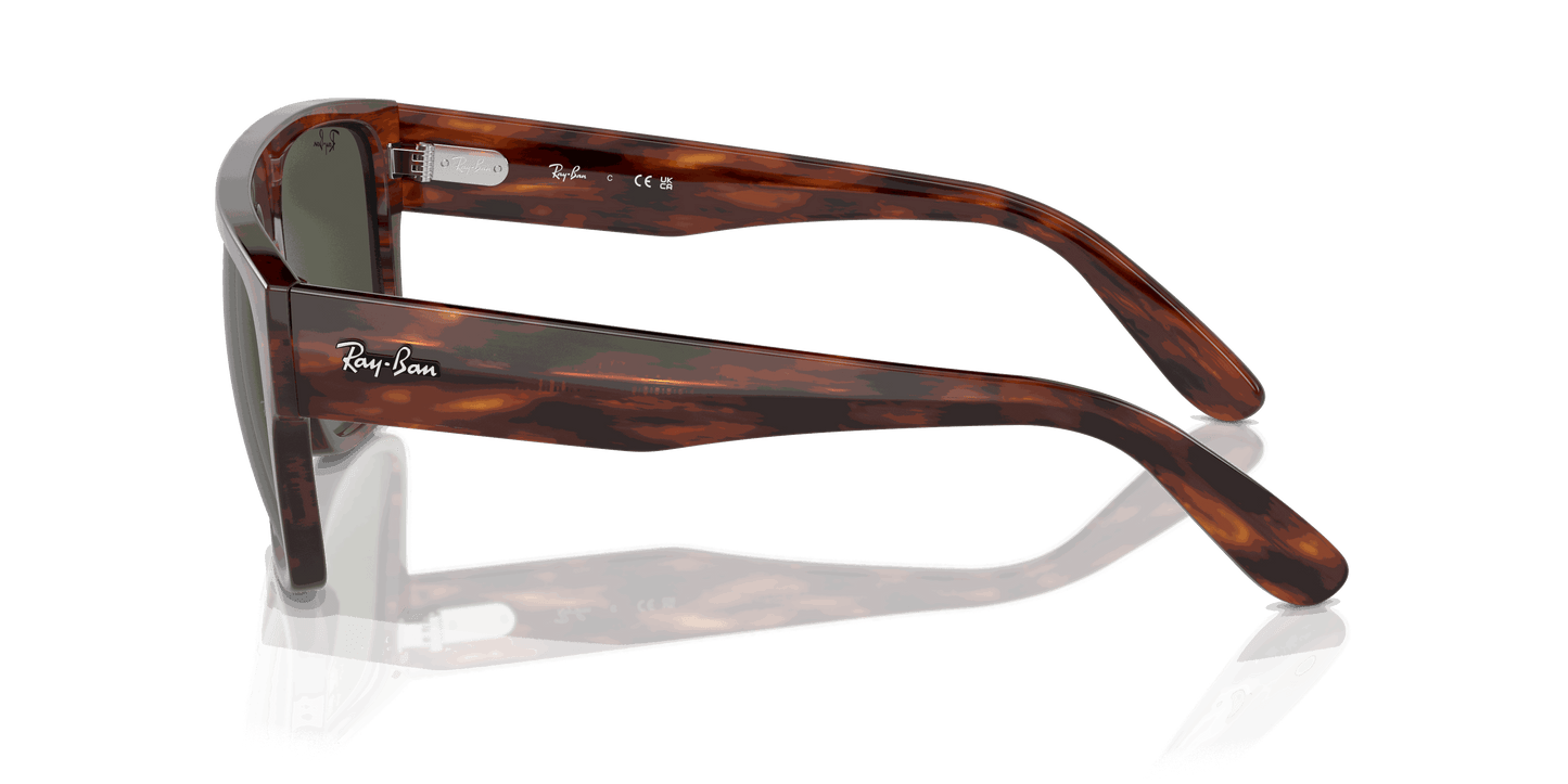 [Green Lenses, Polished Striped Havana Frame]