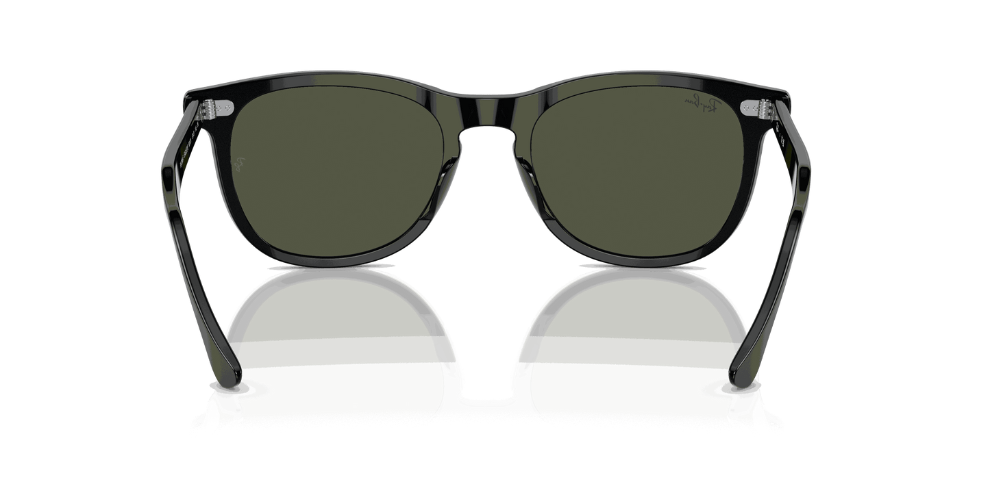 [Green Lenses, Polished Black Frame]