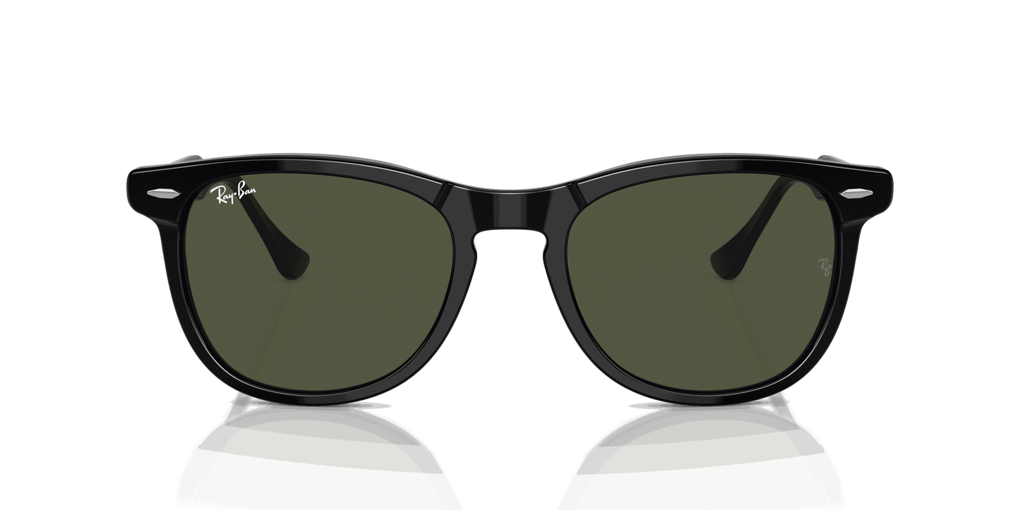 [Green Lenses, Polished Black Frame]