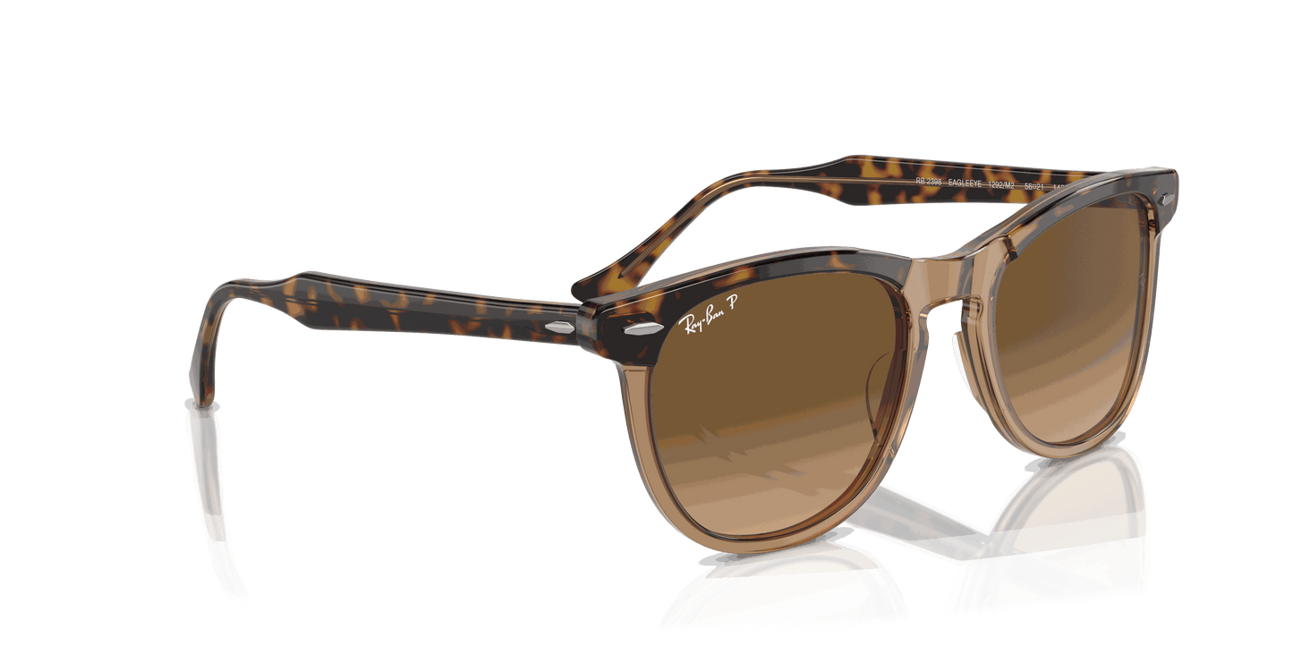 [Brown Lenses, Polished Havana On Transparent Brown Frame]