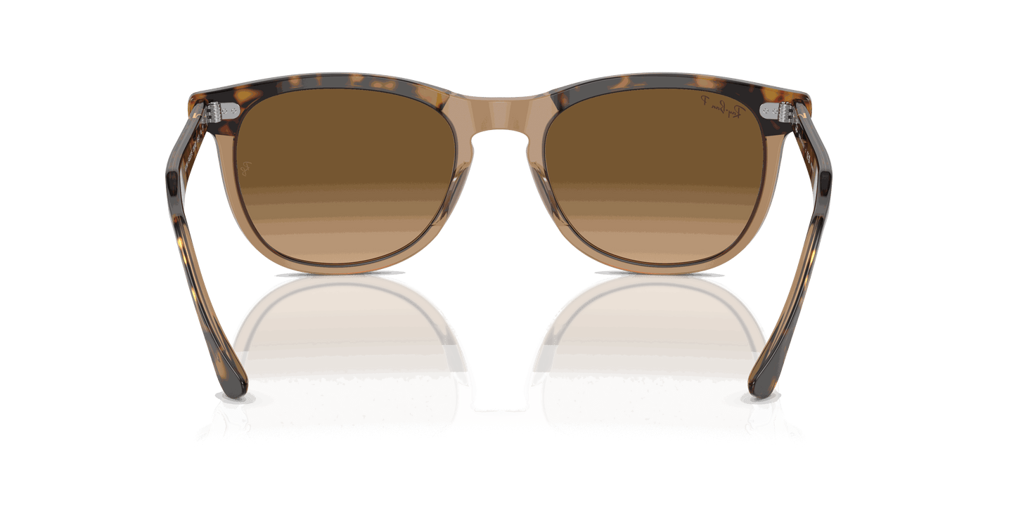 [Brown Lenses, Polished Havana On Transparent Brown Frame]