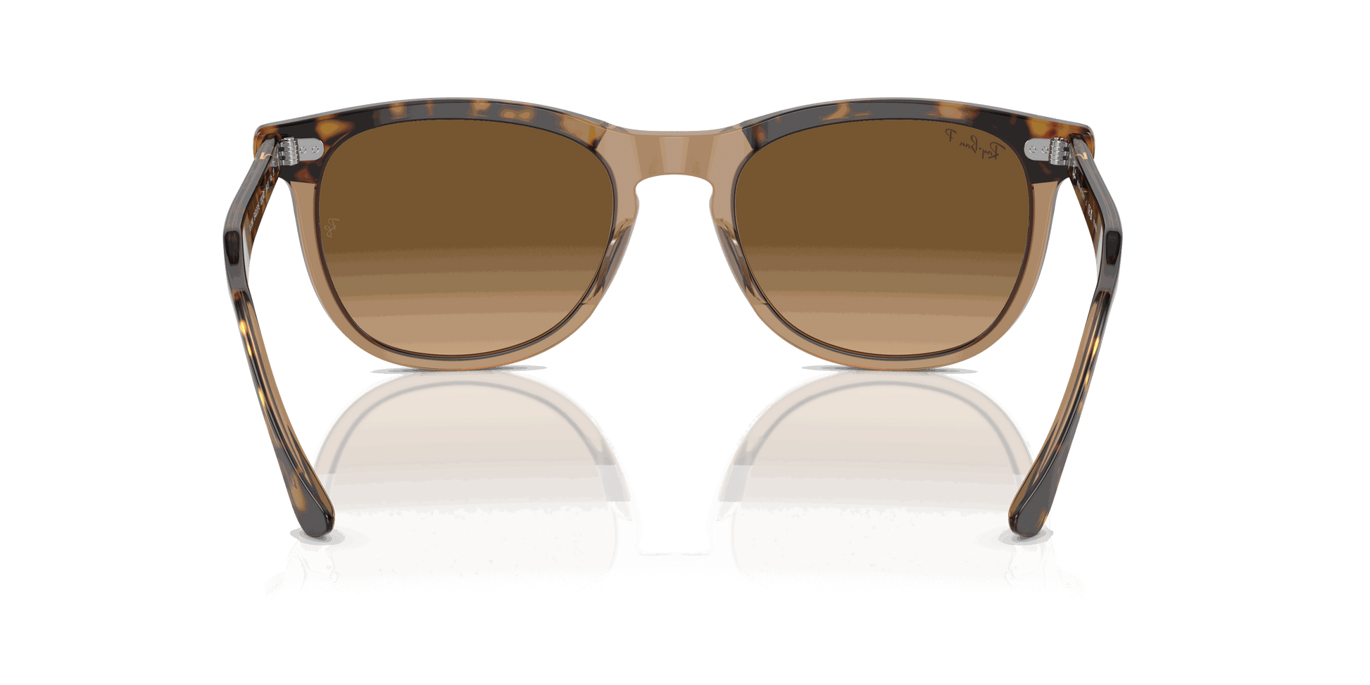 [Brown Lenses, Polished Havana On Transparent Brown Frame]
