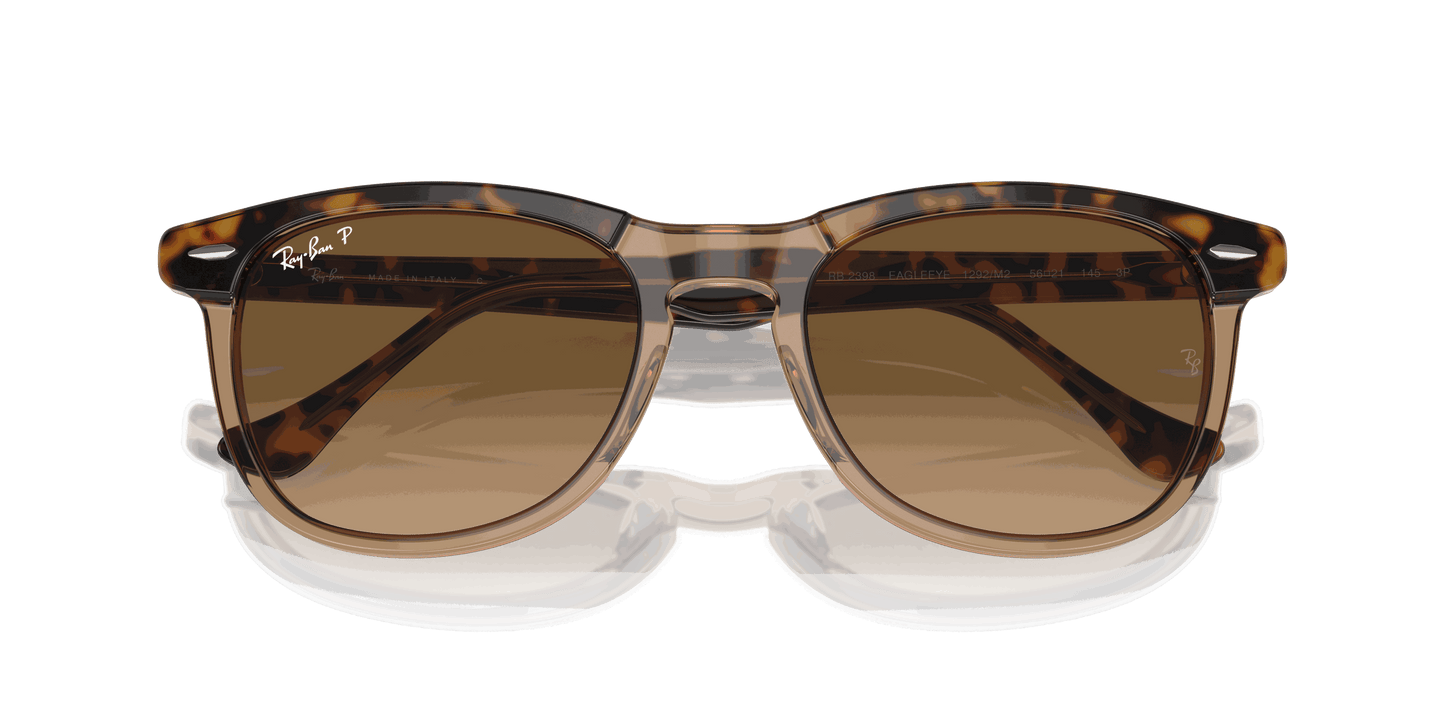 [Brown Lenses, Polished Havana On Transparent Brown Frame]