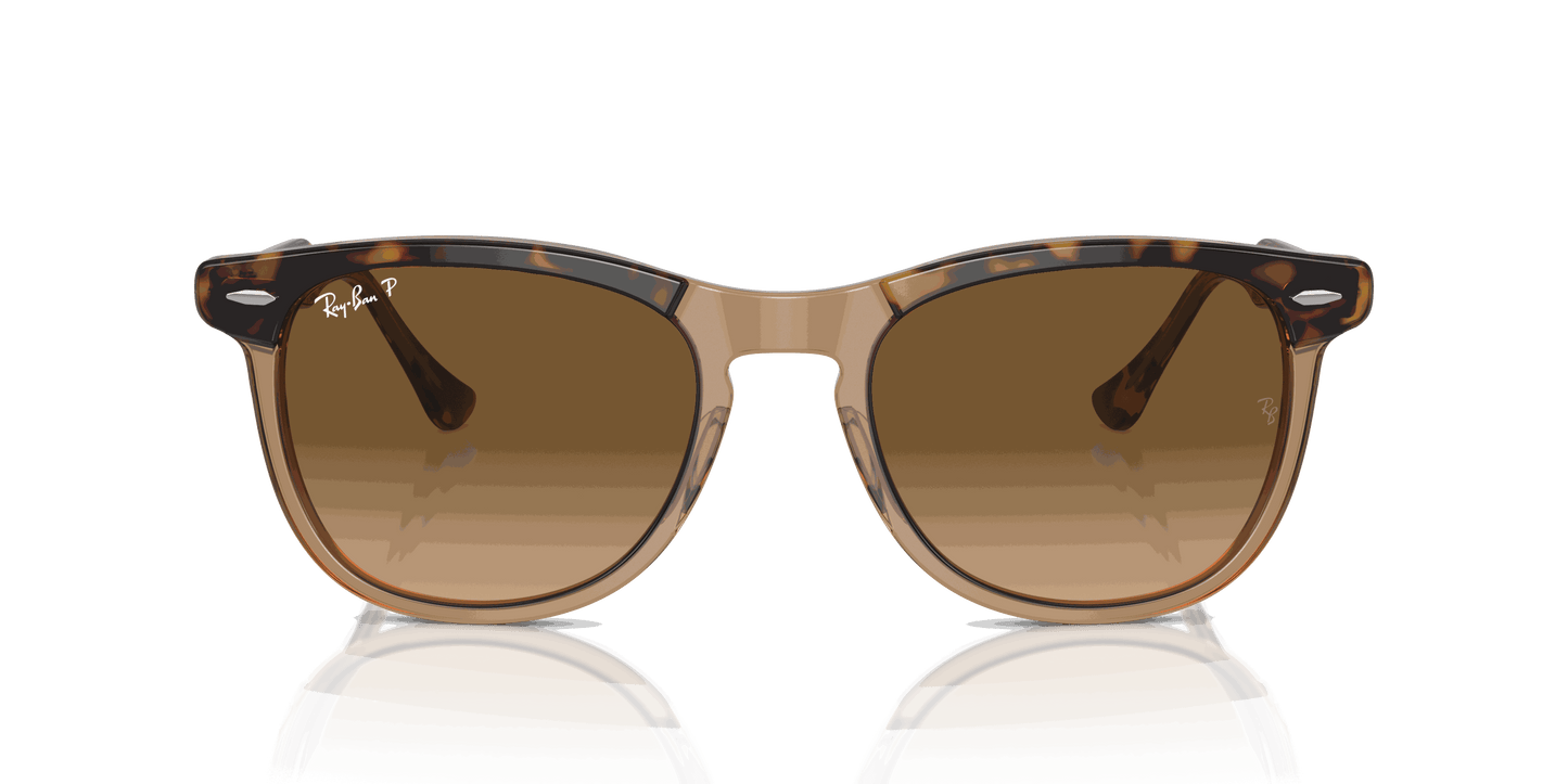 [Brown Lenses, Polished Havana On Transparent Brown Frame]