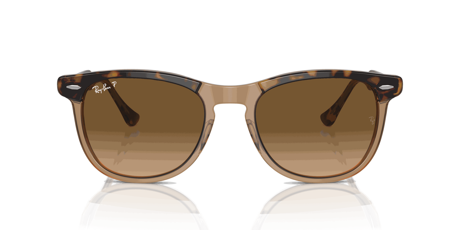 [Brown Lenses, Polished Havana On Transparent Brown Frame]