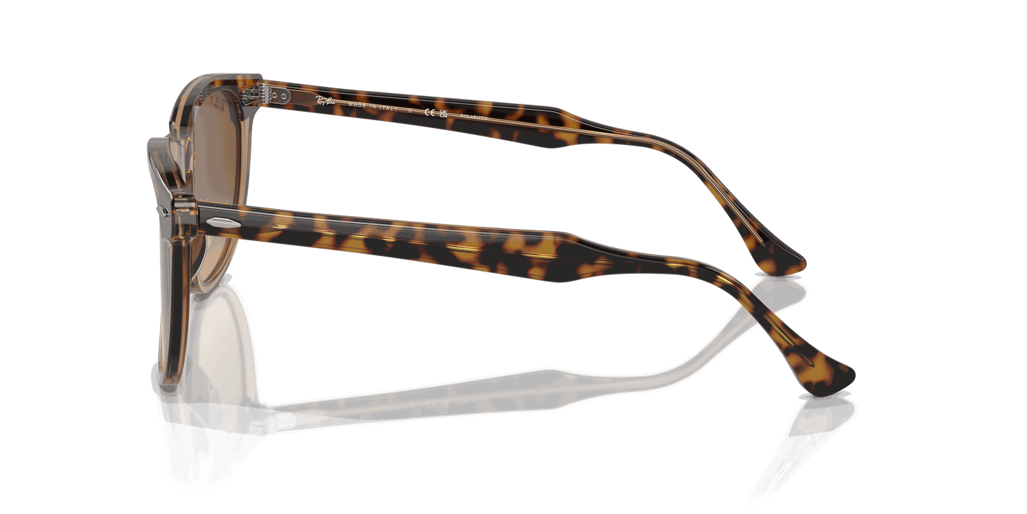 [Brown Lenses, Polished Havana On Transparent Brown Frame]