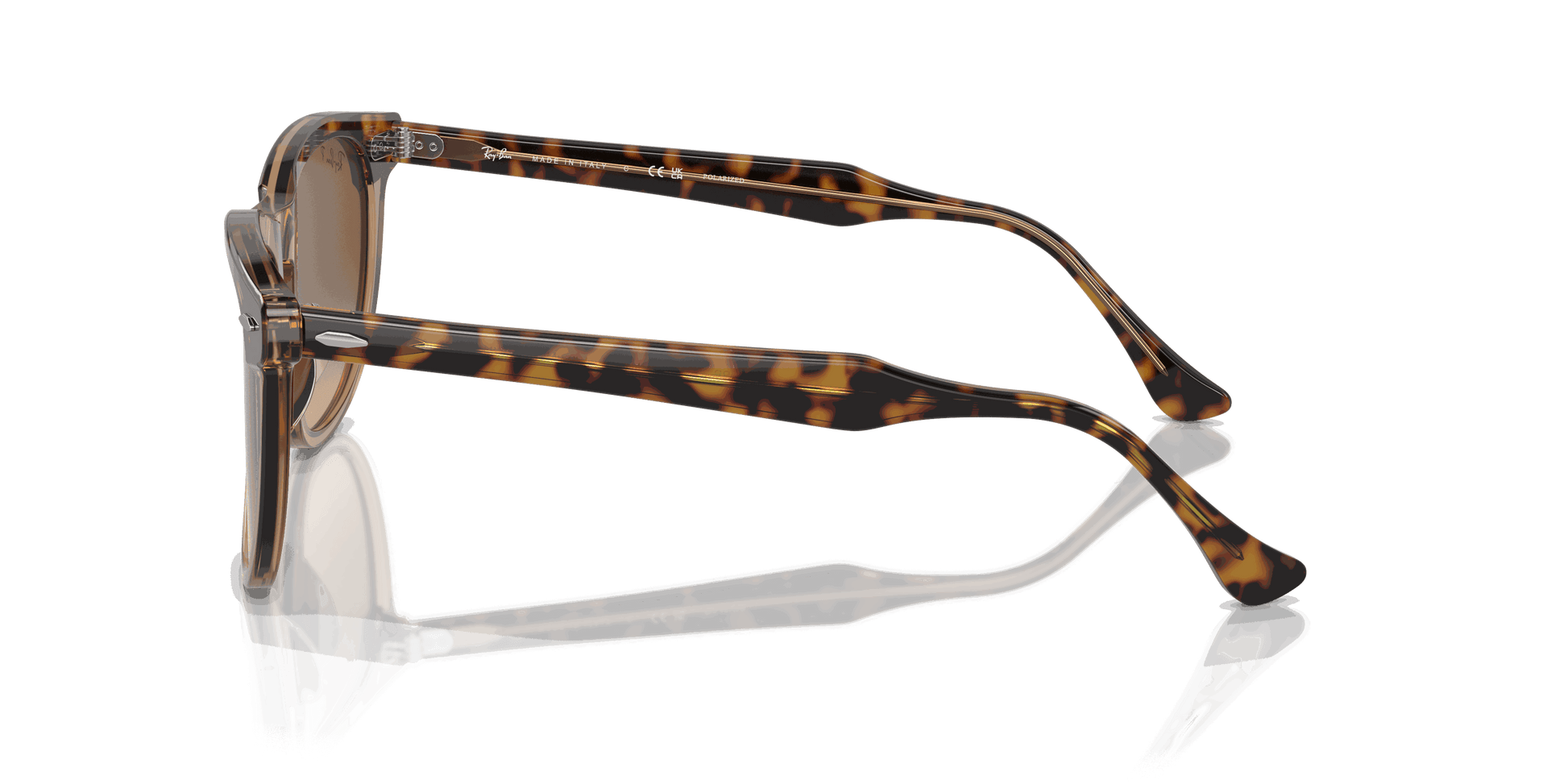[Brown Lenses, Polished Havana On Transparent Brown Frame]