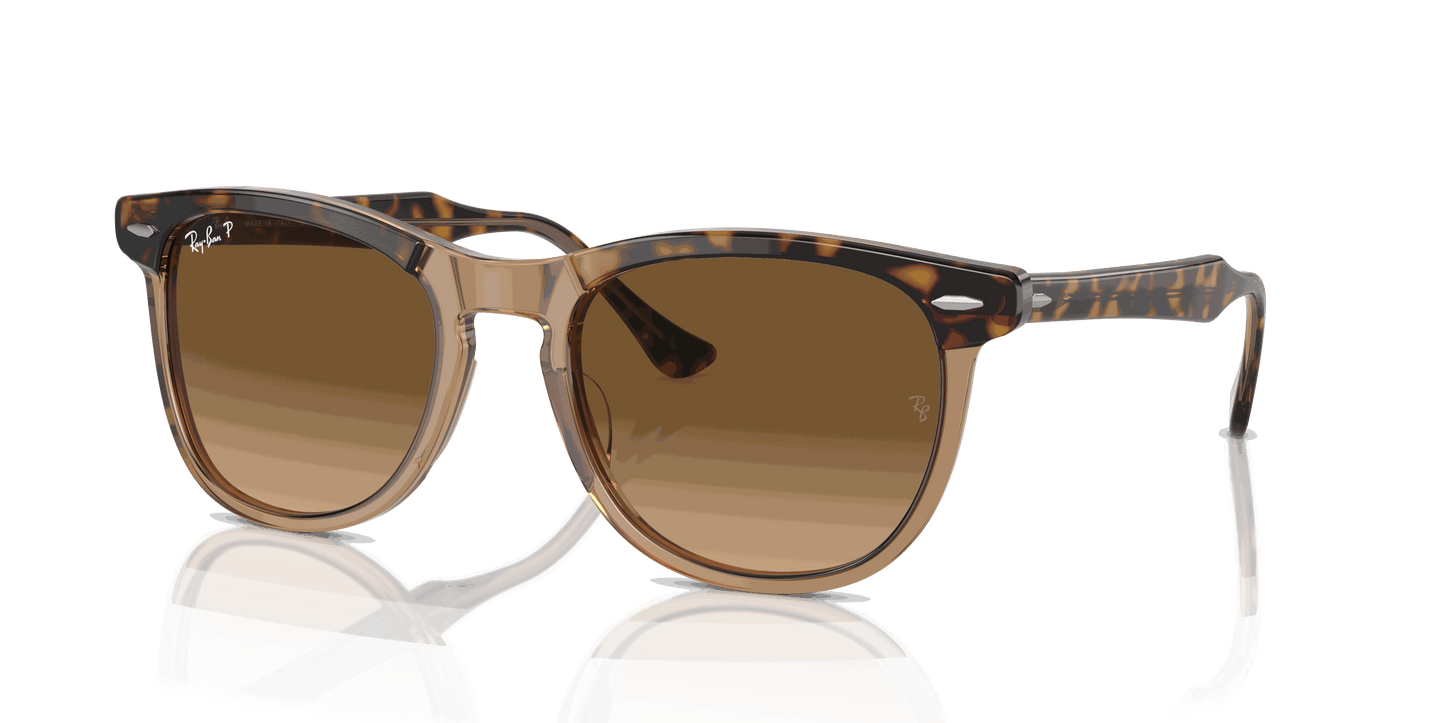[Brown Lenses, Polished Havana On Transparent Brown Frame]