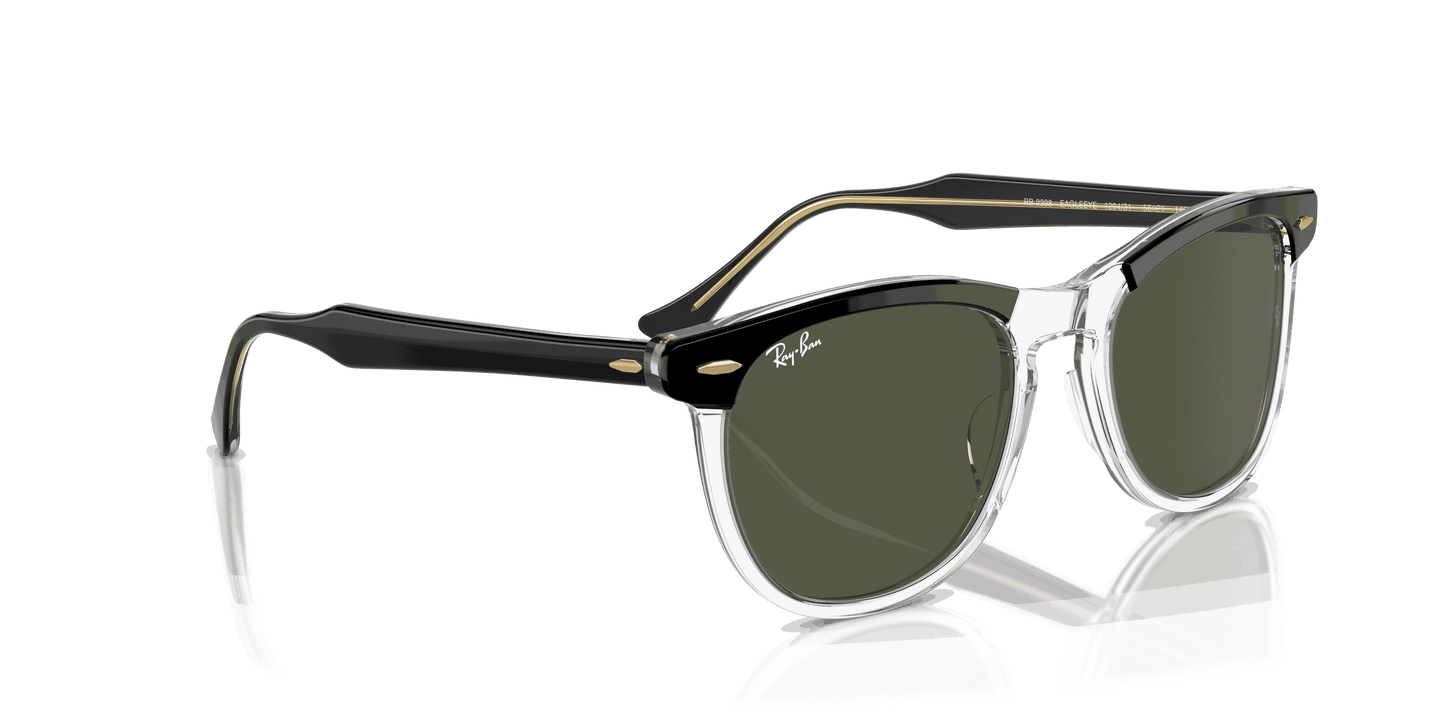 [Green Lenses, Polished Black On Transparent Frame]