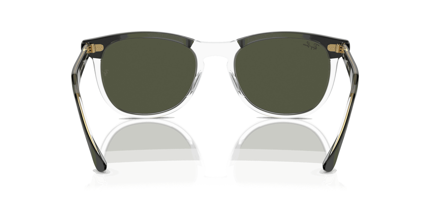 [Green Lenses, Polished Black On Transparent Frame]