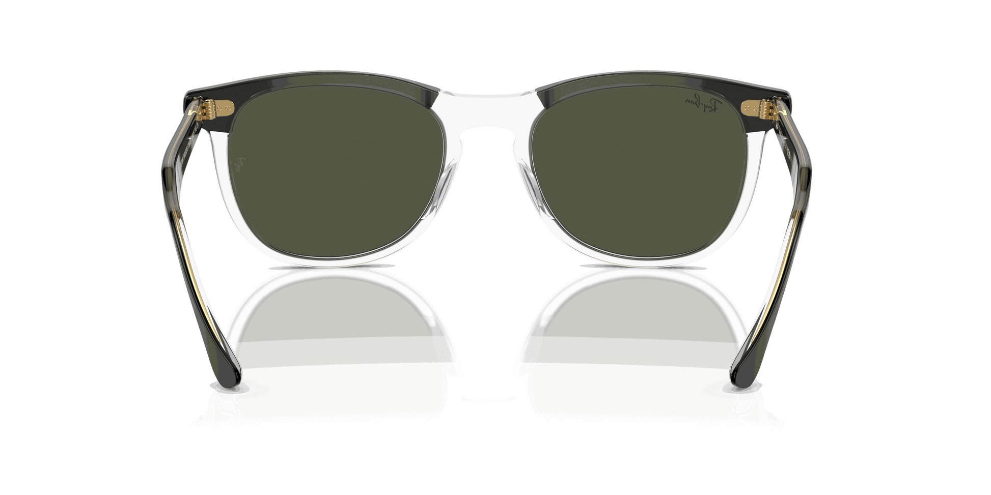 [Green Lenses, Polished Black On Transparent Frame]