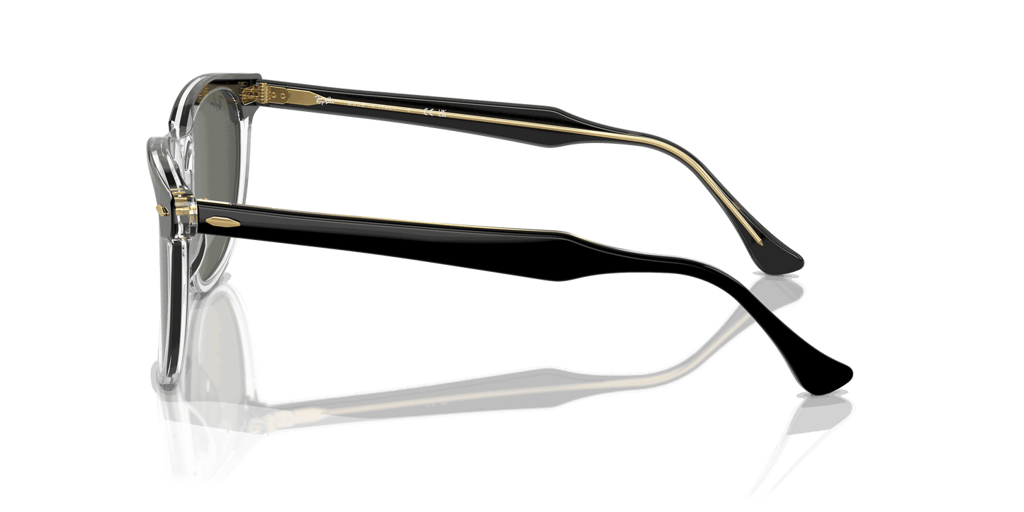 [Green Lenses, Polished Black On Transparent Frame]