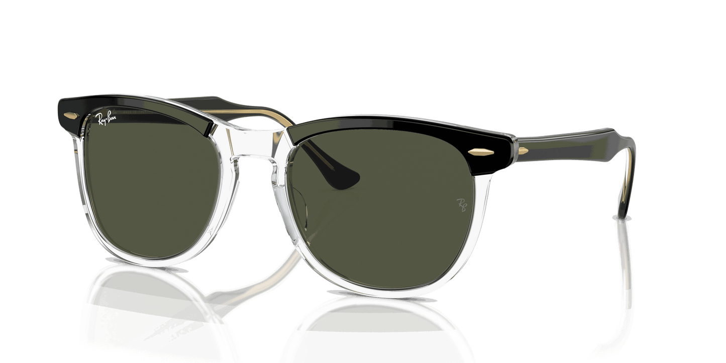 [Green Lenses, Polished Black On Transparent Frame]