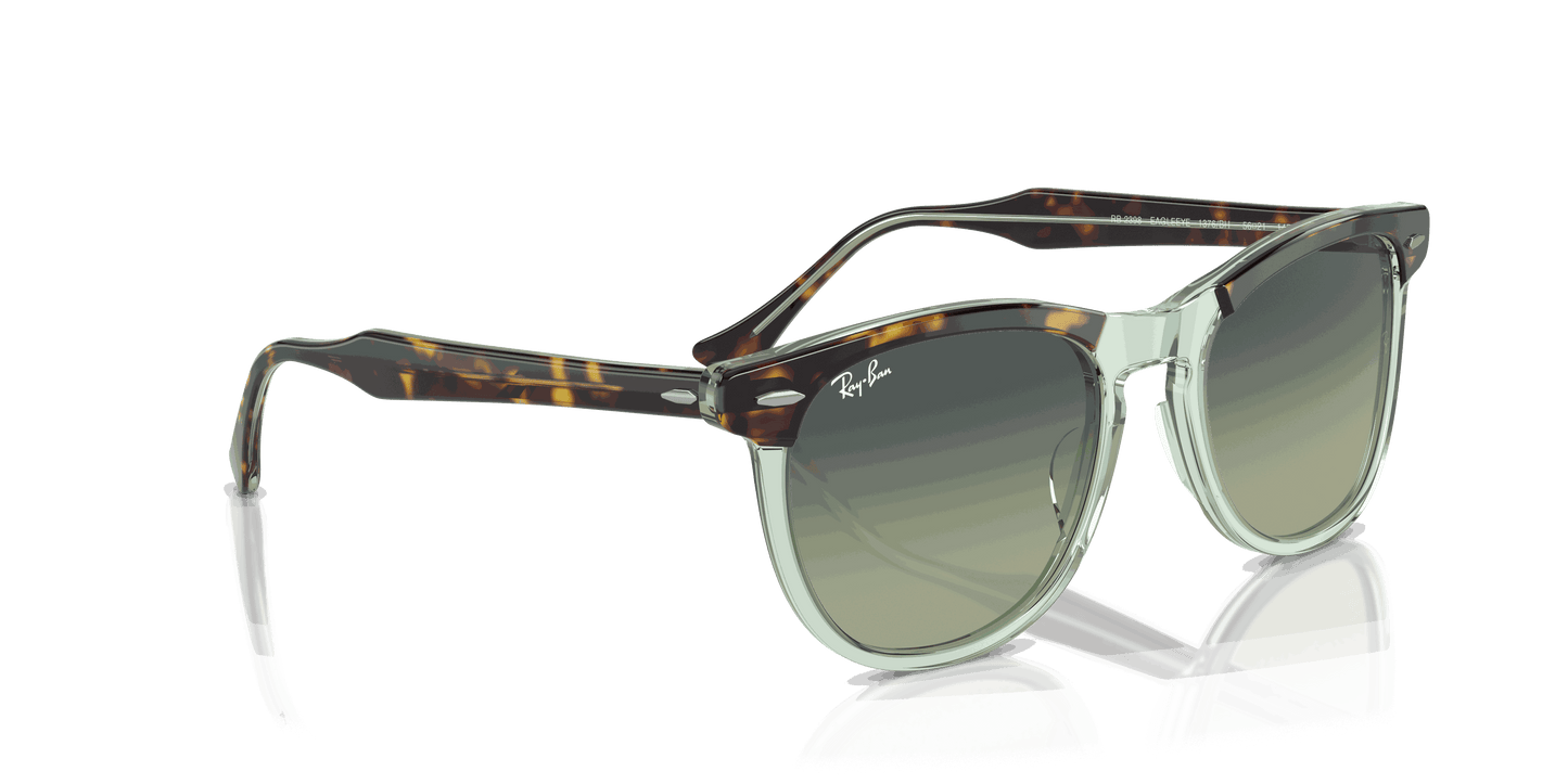 [Green Lenses, Polished Havana On Transparent Green Frame]