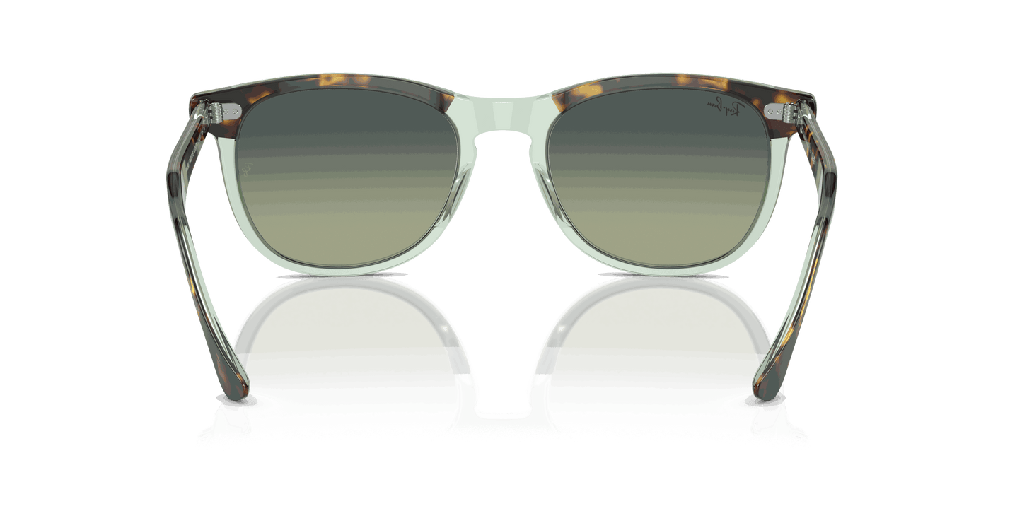 [Green Lenses, Polished Havana On Transparent Green Frame]