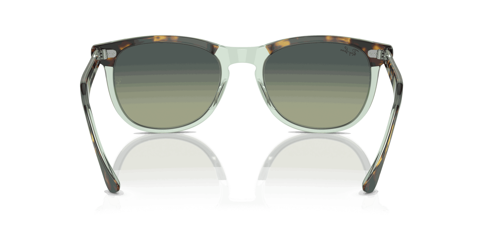 [Green Lenses, Polished Havana On Transparent Green Frame]