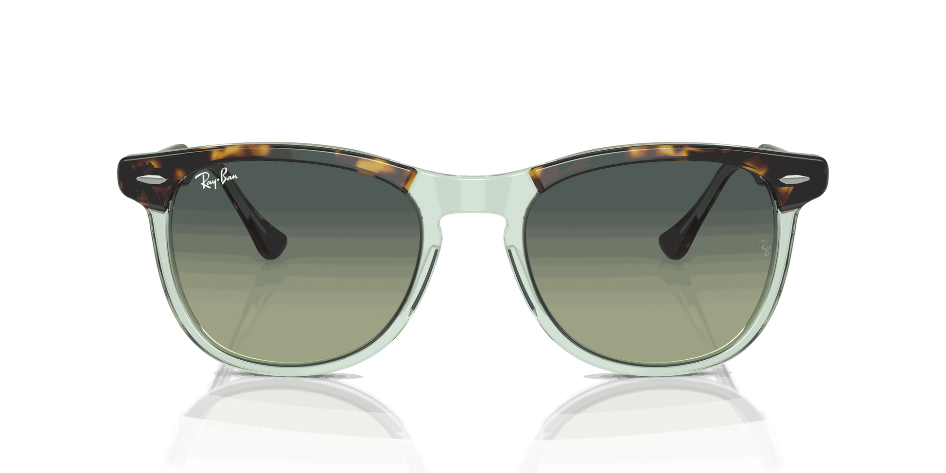 [Green Lenses, Polished Havana On Transparent Green Frame]