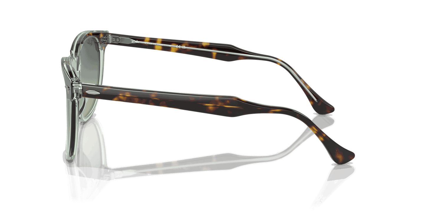 [Green Lenses, Polished Havana On Transparent Green Frame]