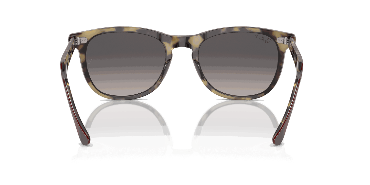 [Grey Lenses, Polished Bordeaux On Yellow Havana Frame]