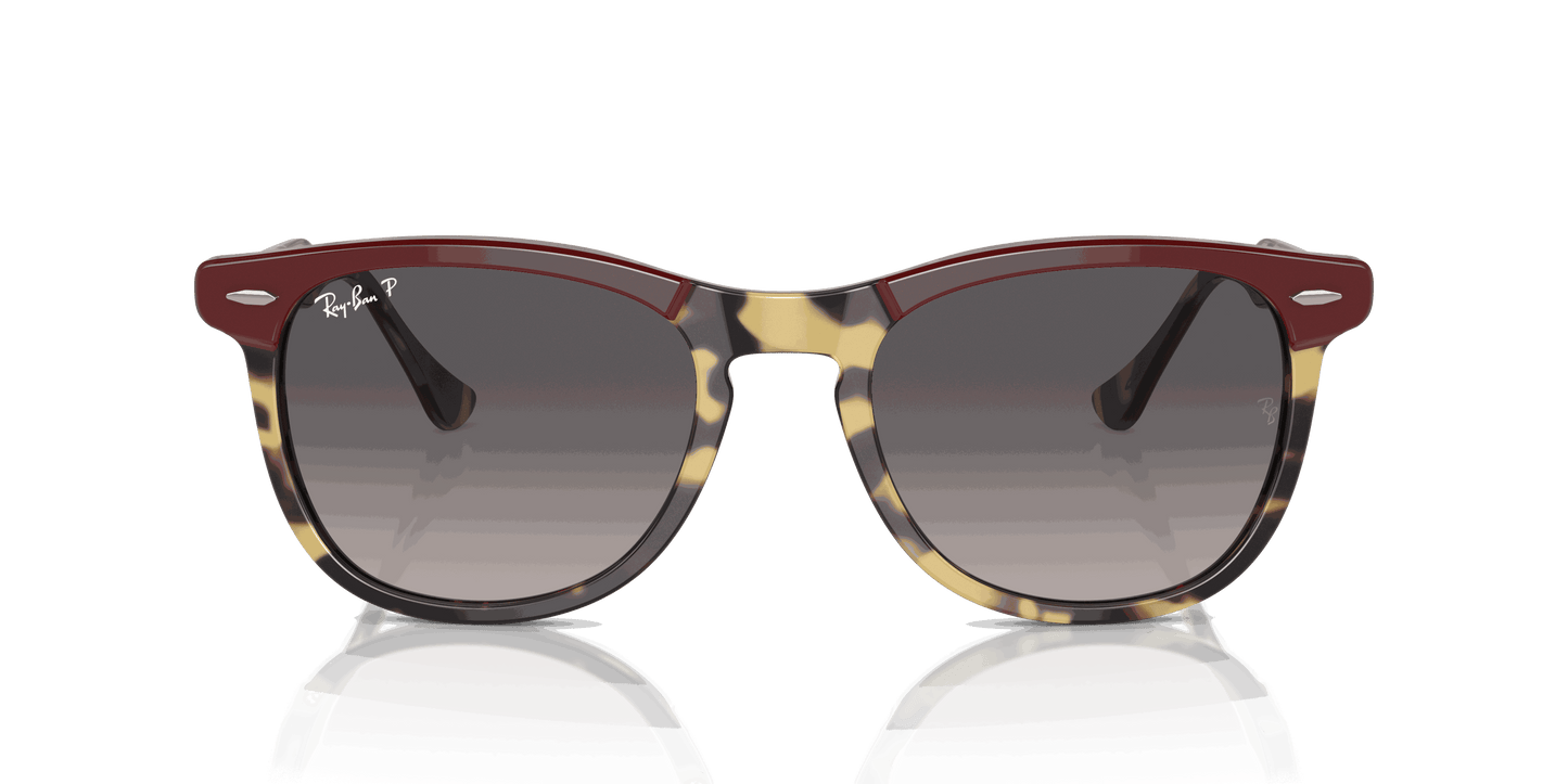 [Grey Lenses, Polished Bordeaux On Yellow Havana Frame]