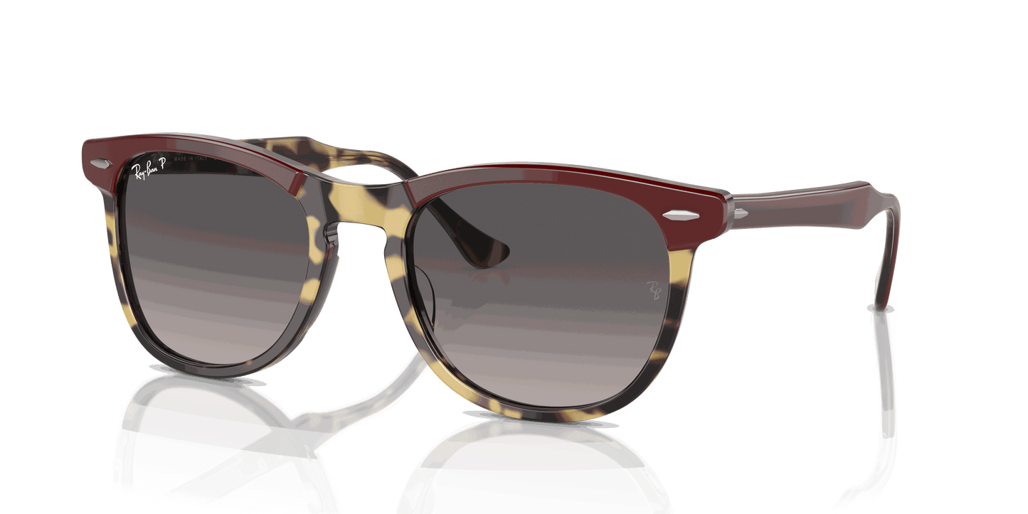 [Grey Lenses, Polished Bordeaux On Yellow Havana Frame]