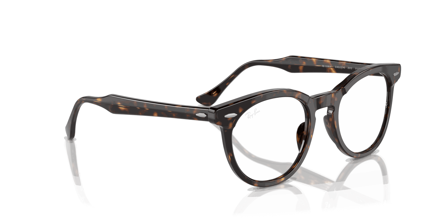 [Clear Lenses, Polished Havana Frame]