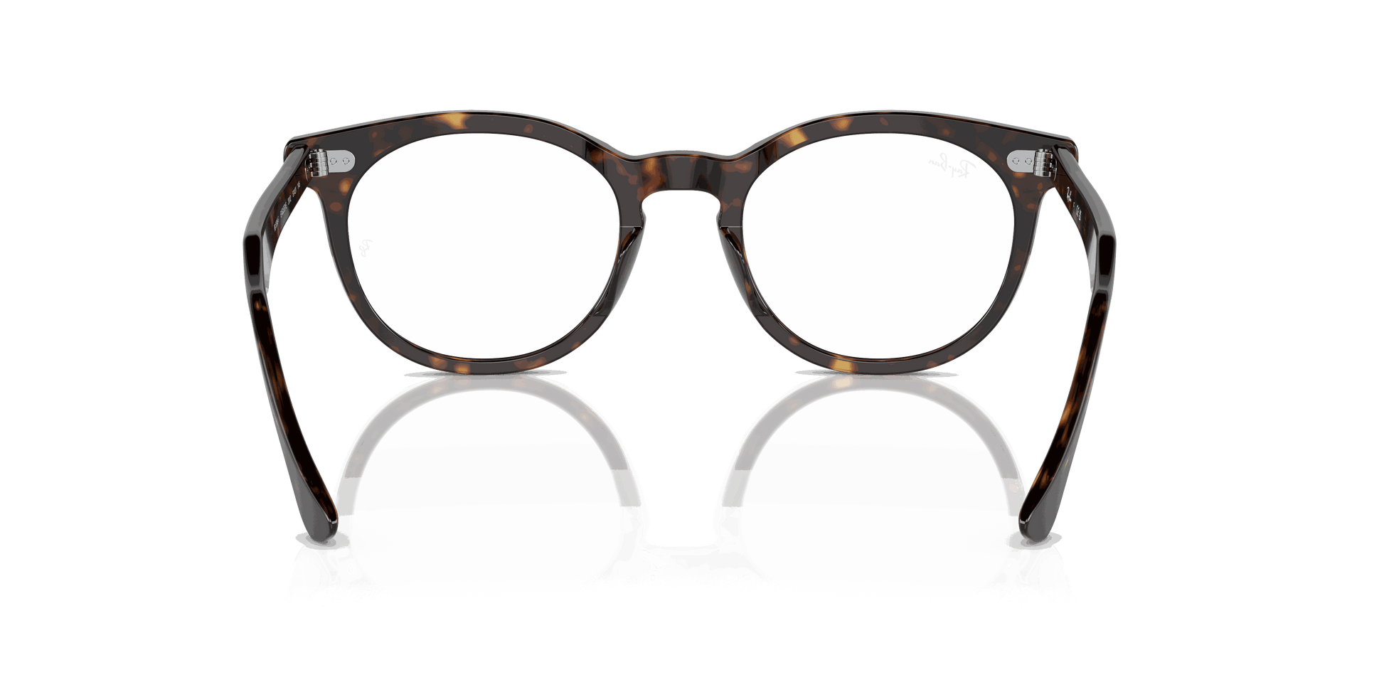 [Clear Lenses, Polished Havana Frame]