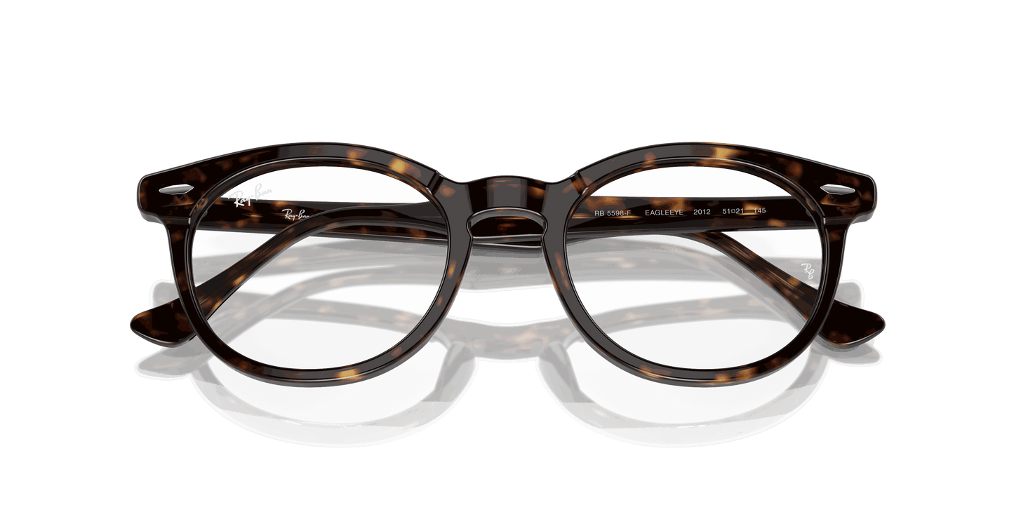 [Clear Lenses, Polished Havana Frame]