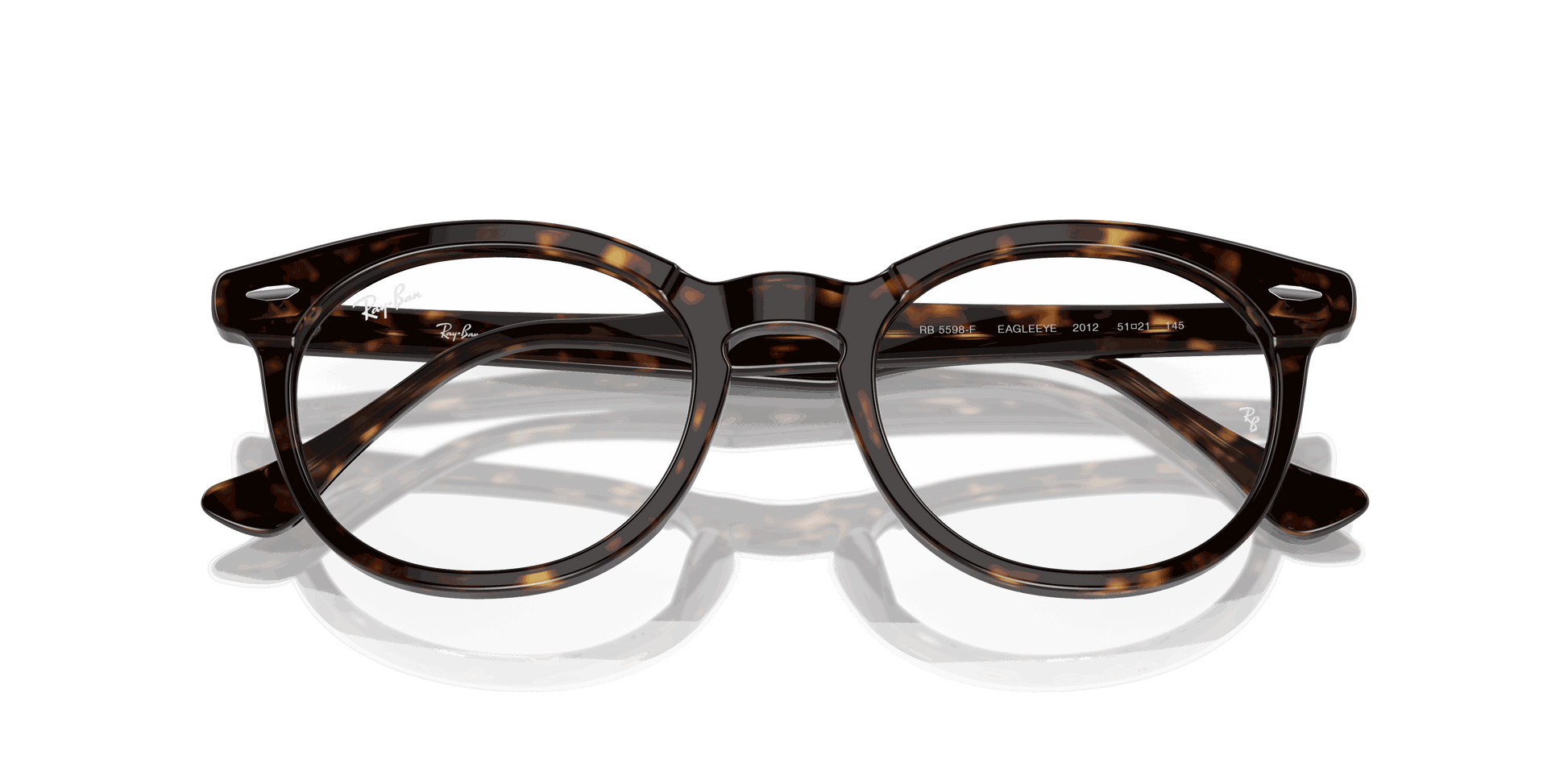 [Clear Lenses, Polished Havana Frame]