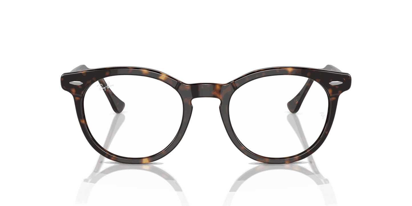 [Clear Lenses, Polished Havana Frame]