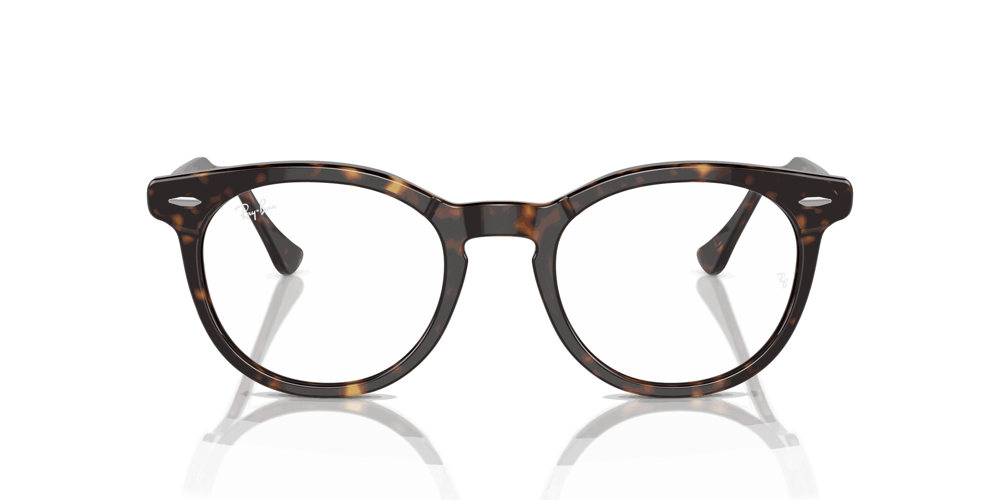 [Clear Lenses, Polished Havana Frame]