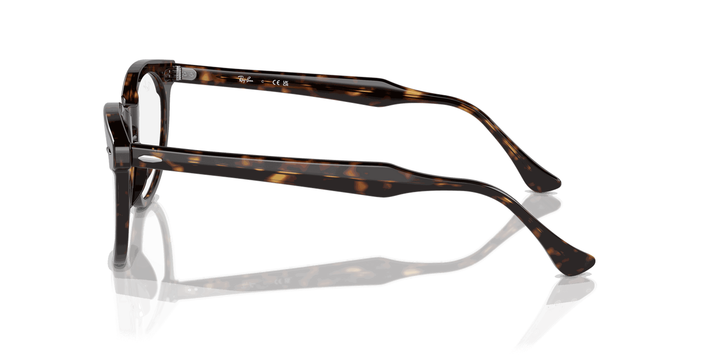 [Clear Lenses, Polished Havana Frame]