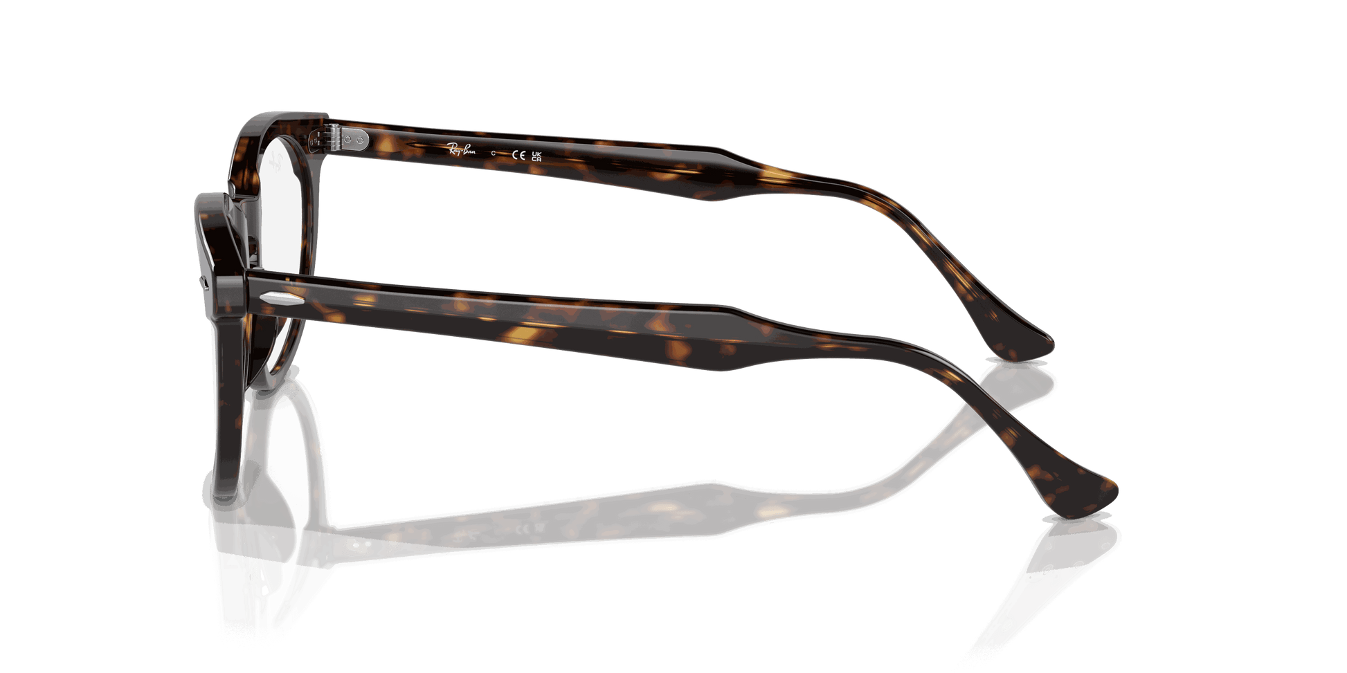 [Clear Lenses, Polished Havana Frame]