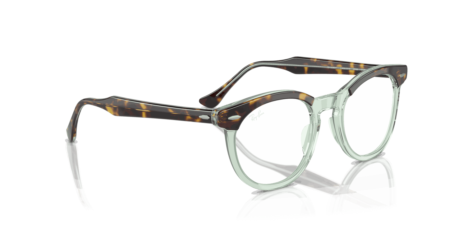 [Clear Lenses, Polished Havana On Transparent Green Frame]